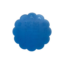 PLACA PLASTICA SELLO UÑAS EVOK(NL-H26929-S101)