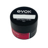 GEL PAINT BLANCO 8G X UND EVOK (NL-FS23125-2)