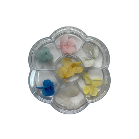 DECORACION UÑAS NATURALEZA MUERTA EVOK (NL-2326544-10)