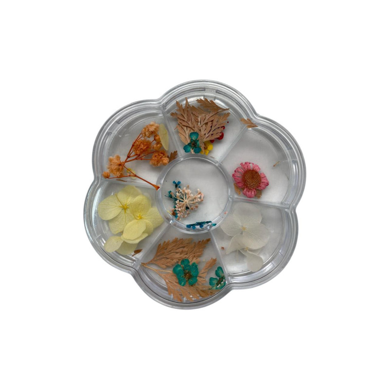 DECORACION UÑAS NATURALEZA MUERTA EVOK (NL-2326544-11)