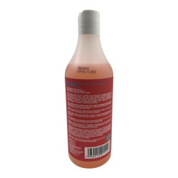 SHOWER GEL SANTA MONICA SUN BODYMATE