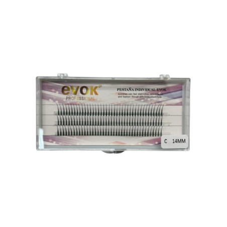 ESPIGA EVOK PESTAÑA EFECTO WISPY(CM-21YY-30)