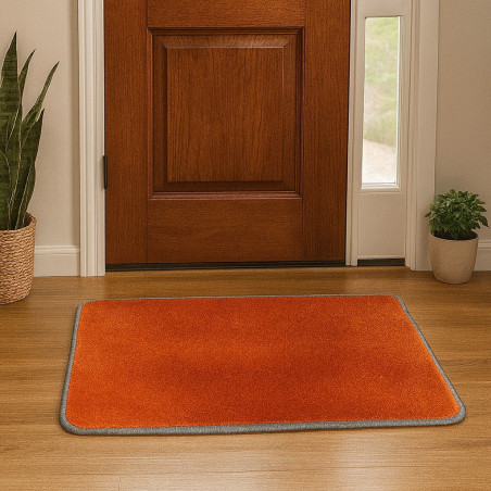 Alfombra Entrada(Yt-H-35X55)