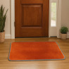 Alfombra Entrada(Yt-H-35X55)