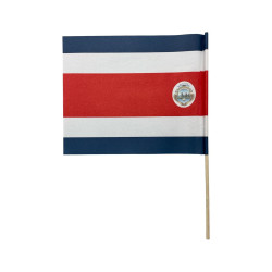 Dp Bandera Patria (Xy-Fg)