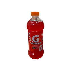 Gatorade 600Ml Fruit Ponch (182737)