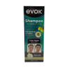 SHAMPOO CUBRE CANAS 2 EN 1 NEGRO EVOK 400ML (EV-DSP400)