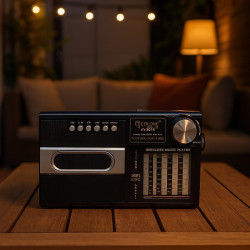 Parlante Figura Radio Bluetooth Columbus (Rx-867S)