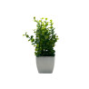 PLANTA ARTIFICIAL(84256) PLANTA ARTIFICIAL(84256)