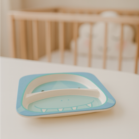 PLATO C/DIVISION STD DISEÑO GENIAL