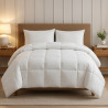 EDREDON COMFORTER QUEEN 88 X 88