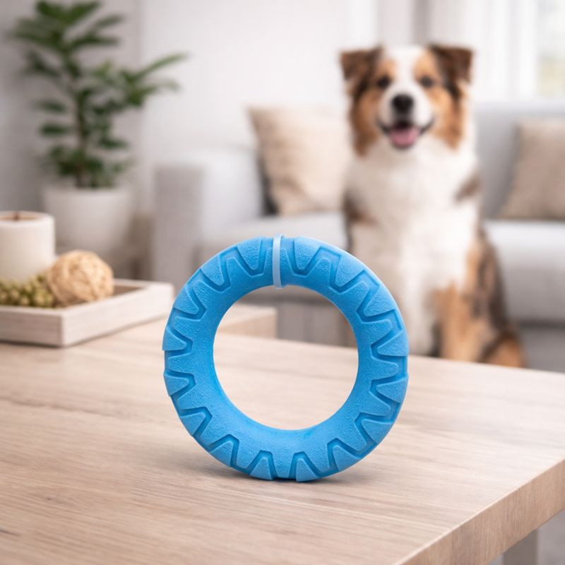 Juguete Mascota Anillo Teddy Pet (Pt1124)