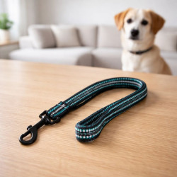 Correa Mascota Rallas Srtd 2 Cm X 120 Cm Pet Park (Pet-1653)