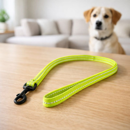 Correa Mascota Reflec Srtd 1.5Cmx 120Cm Pet Park(Pet-1658)