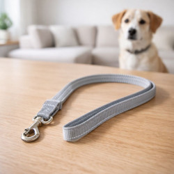 Set Correa Collar Teddy Pet Gris Talla S (8702W-S)