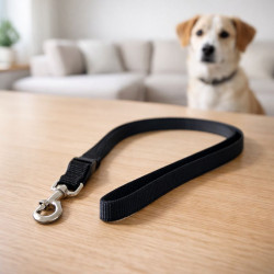 Set Correa Collar Teddy Pet Negro Talla S (8702Bk-S)
