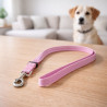Set Correa Collar Teddy Pet Rosado Talla S (8702Pk-S)