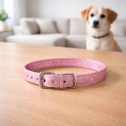 Collar Mascota Teddy Pets 2.0*43Cm(Dc-240306-67)