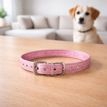Collar Mascota Teddy Pets 2.0*43Cm(Dc-240306-67)