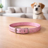 Collar Mascota Teddy Pets 2.0*43Cm(Dc-240306-67)