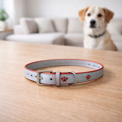 Collar Mascota Huella Teddy Pets  1.5*38Cm(Dc-240306-69)