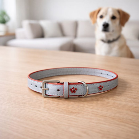 Collar Mascota Huella Teddy Pets  1.5*38Cm(Dc-240306-69)