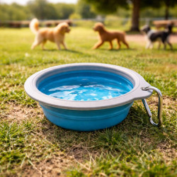 Taza Mascota Plegable Teddy Pet (Pt1667)