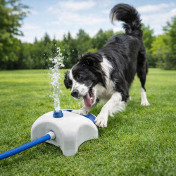 Fuente Agua Mascota Teddy Pet (Pt1608)