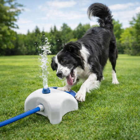 Fuente Agua Mascota Teddy Pet (Pt1608)