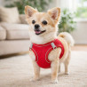 Pechera Mascota Teddy Pet Roja Talla L (8705R-L)