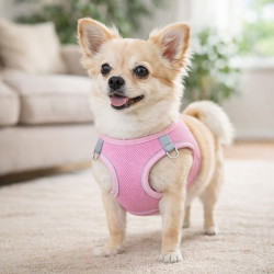 Pechera Mascota Teddy Pet Rosada Talla L (8705Pk-L)