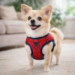 Pechera Mascota Spiderman Teddy Pet Talla S (8706-S)