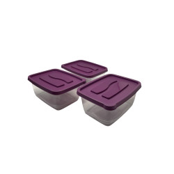 Envases Plastico Xl Rectangular C/ Tapa 3Pza (7453116021217)