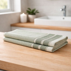 TOALLA MANO 4HOME 2 PIEZAS(TOST49645IM)