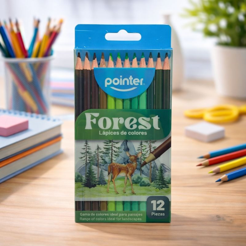 Lapiz Color 12Pcs Pointer (Bt-Hcp-4S)