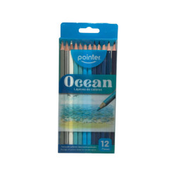 Lapiz Color 12Pcs Pointer (Bt-Hcp-4S)