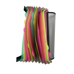 Archivador Plastico Expandible Portadocumentos (Fl1-02-Fc)