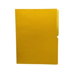 FOLDER 2321 FLASHFILE ORO AMARILLO CARTA