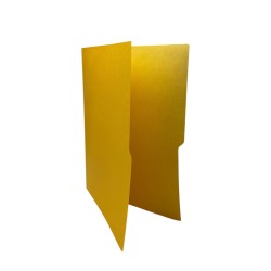 FOLDER 2321 FLASHFILE ORO AMARILLO CARTA