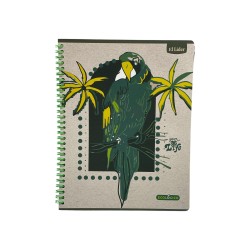 CUADERNO ESPIRAL GRANDE 100H ECOLOGICO (84172)