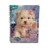 CUADERNO ESPIRAL 100H DOGS 1UD (576213)
