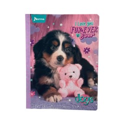 CUADERNO COSIDO 100H SURTIDO FEMENINO 1UD (576243)