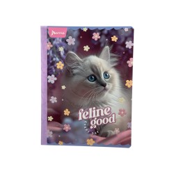 CUADERNO COSIDO 100H SURTIDO FEMENINO 1UD (576243)