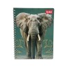 Cuaderno 100H Resorte Scribe Natural Zoo (C30217550) Bts25