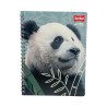 Cuaderno 100H Resorte Scribe Natural Zoo (C30217550) Bts25