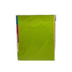 CUBIERTA PAPEL POINTER CLRS 10PCS (FL2-23189-C)