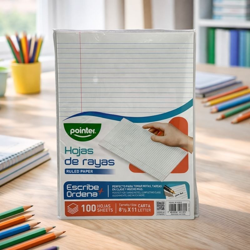 HOJAS DE RAYAS (100 HOJAS) (RP-24132-R)
