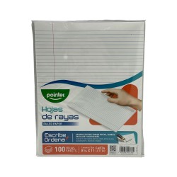 HOJAS DE RAYAS (100 HOJAS) (RP-24132-R)