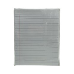 HOJAS DE RAYAS (100 HOJAS) (RP-24132-R)