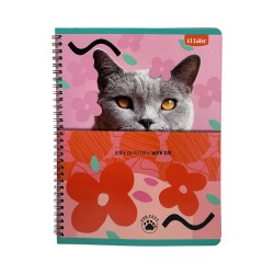 CUADERNO ESPIRAL GRANDE 80H SURTIDO VALUE MUJER (76160)